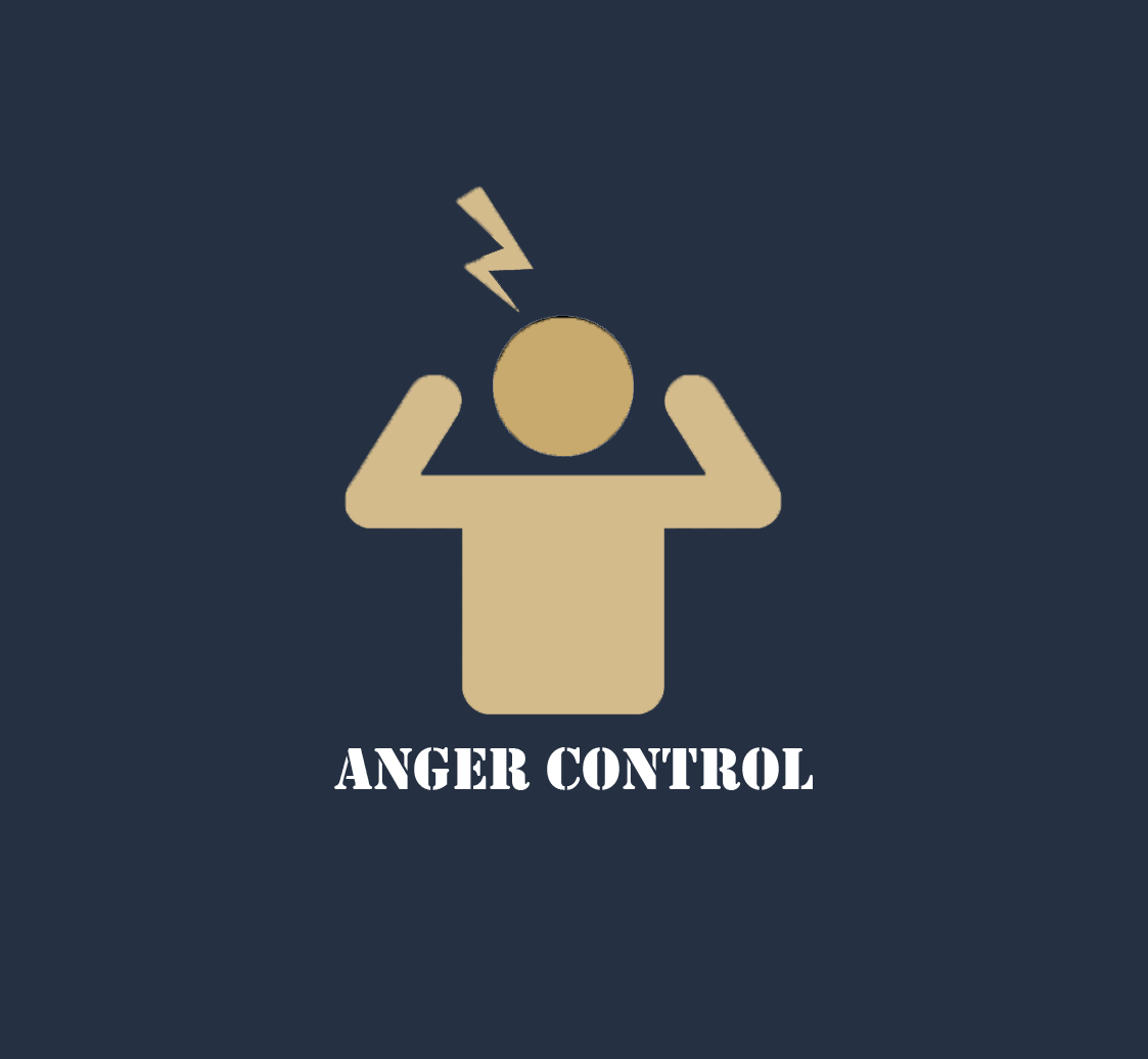 کنترل خشم- مهرداد سلیمی برنا